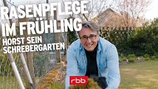 6 Schritte zum perfekten Rasen im Frühling  Horst sein Schrebergarten [upl. by Bozovich]