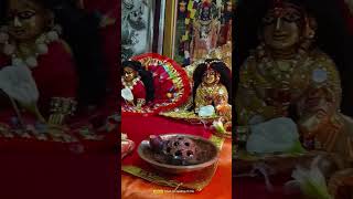 ओ वृषभानु दुलारी। vrindavan radheradhe krishna [upl. by Maxima]