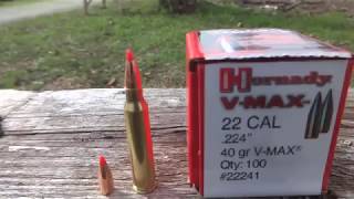 223 Hornady 40 grain VMAX water jug penetration test [upl. by Nerin]