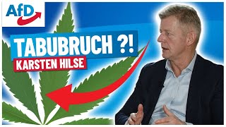 Kontroverse Haltung der AfD zur Cannabislegalisierung [upl. by Haynor]