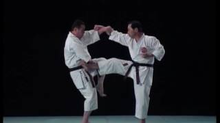 Seiyenchin Bunkai Shito Ryu ShitoKai Seienchin [upl. by Lanod]