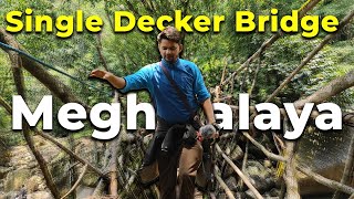 Living Root Bridge Meghalaya😬 Single Decker living root bridge anilkumarvlog [upl. by Adahs900]