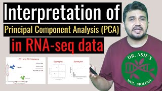 Interpretation of Principal component analysis PCA in RNA seq [upl. by Surazal]