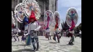 Danza de los Quetzales de Zozocolco de hidalgo Ver [upl. by Eylrac]