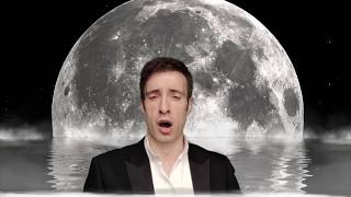 Moon River Frank Sinatra  Cover by Yuriy Yurchuk [upl. by Lorou]