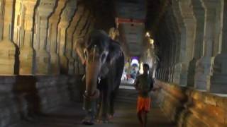 Rameshwaram Temple Corridor Tamilnadu [upl. by Clougher453]