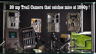 Victure HC600 Trail or Game Camera 20 megapixel stills 1080 p Video Review [upl. by Jacquette437]