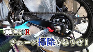 CB250R チェーン掃除やろうぜ！ [upl. by Icak]