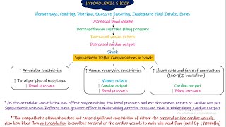 Hypovolemic Shock Chapter 24 part 3 Guyton and Hall Physiology [upl. by Elem]