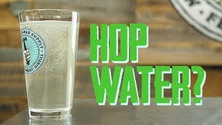 How To Make Hop Water  like LaCroix Soda Water but Flavored with Hops [upl. by Ahsienel595]