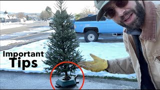 ★★★★★ THE GREATEST Christmas Tree Stand  Tips from a Christmas Tree farmer  Krinners Tree Stand [upl. by Ahsinyd]