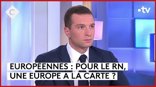 Européennes  demandez le programme du RN  Patrick Cohen  C à vous  28052024 [upl. by Atnahsal]