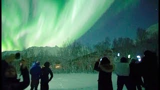 🇳🇴Chasing Lights in Tromsø Norway [upl. by Naot]