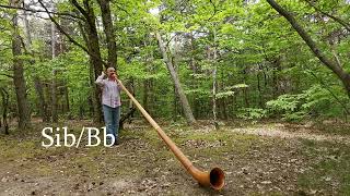 Cour de Cor des Alpes Alphorn lesson Episode 1 pose de sons [upl. by Wier]