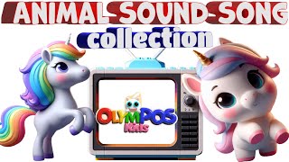 Animal Sound Song  Nursery Rhymes  Collection  OLYMPOS KIDS  Best Kids Song  toddler Song [upl. by Shiverick]