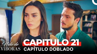 Nido De Víboras Capitulo 21 Dobladas en Español [upl. by Weinrich291]