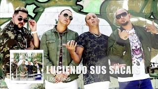 LOS YAKIS  LUCIENDO SUS SACAIS [upl. by Leckie]