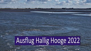 Ausflug zur wunderschönen Hallig Hooge im Nordfriesischen Wattenmeer [upl. by Amand428]