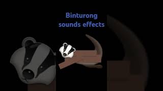 Binturong sounds effects [upl. by Anomer]