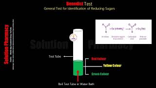 Benedict Test  Test for Reducing Sugar  Biochemical Test for Carbohydrate  Animated Video English [upl. by Eenafets]