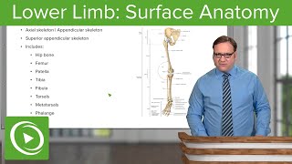 Lower Limb Surface Anatomy amp Osteology – Anatomy  Lecturio [upl. by Efron]