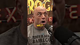 Joe Rogans NEXTLEVEL Gaming Knowledge 😂🤣 jre gaming shorts [upl. by Smiley]