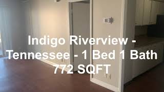 Indigo Riverview  Tennessee 1 Bedroom 1 Bath 772 SQFT [upl. by Copp]