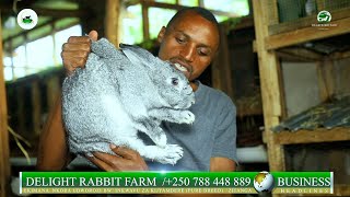 Uko watangira Umushinga wubworozi bwinkwavu quot how to start a Rabbit breeding projectquot [upl. by Hortensia982]