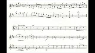 Rieding Oskar Concertino op 36 for violin  piano [upl. by Aitercul]