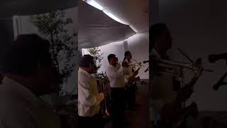 SOLOS DE TROMPETAS Mar Trumpet AND ERIBERTO HERNÁNDEZ DE SOYALO CHIAPAS MEXICO [upl. by Fransen871]