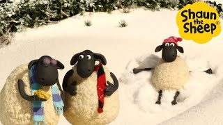 Shaun the Sheep 🐑 Chill with Shaun  Cartoons for Kids 🐑 Full Episodes Compilation 1 hour [upl. by Asil]