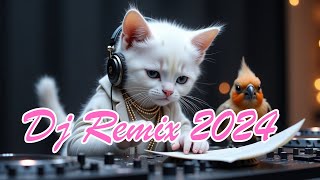 Dj Remix 2024 [upl. by Fara421]