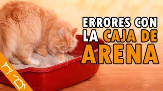 10 Cuidados Básicos Del Arenero De Tu Gato [upl. by Zakarias687]