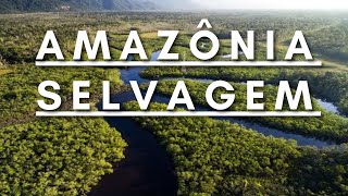 Amazônia Selvagem  Berço da vida  Documentário dublado HD [upl. by Bigner]