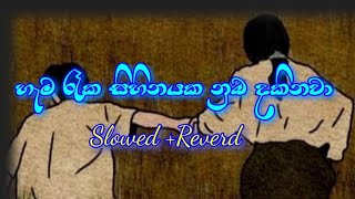 Hema Reka Sihinayakaහැම රෑක සිහිනයක Slowed And Reverd  New sinhala song [upl. by Fennell972]