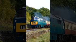 Class 52 D1015 Western Champion opens up past Tenbury Wall diesellocomotives train shorts [upl. by Cassell]