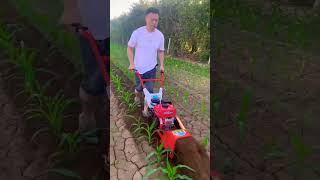 New170GasolineWeederTrencherWeeding rotary tillage ditching and soil cultivation one machine 👏👏 [upl. by Eelirol]