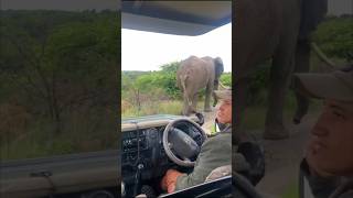 An amazing and incredible experience Ndaka Safari Lodge Big 5 Game Reserve Nambiti South Africa [upl. by Llerej]