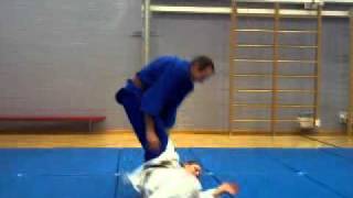 25 Traditional Japanese JiuJitsu Throws [upl. by Samuela490]