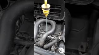 Oil change on a Vauxhall Vivaro Renault Trafic and Nissan Primastar 2013MY [upl. by Ettennig]