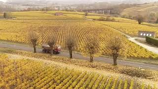 Vu du ciel  Sancerre et son vignoble [upl. by Jenette]