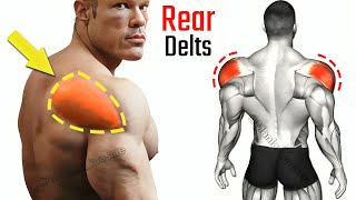 11 BEST Exercises for REAR DELTS  Perfect Workout [upl. by Clotilda]