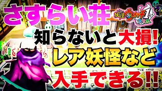 【妖怪ウォッチ1スマホ】知らない人必見❗️簡単にレア妖怪GET❗️毎日欠かさずやらないと大損‼️ [upl. by Glendon]