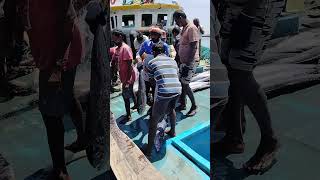 Kasimedu fish market in Chennai wholesale 2 am onwards [upl. by Hebert]