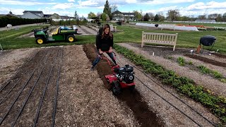 Delivering Tulip Bouquets Raised Bed Tour amp Potato Bed Prep 💐🌿🥔  Garden Answer [upl. by Annez]