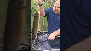 Edisto River Mudfish [upl. by Aihcila]