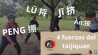 Las 8 energías de taichi Taijiquan estilo Chen [upl. by Togram]