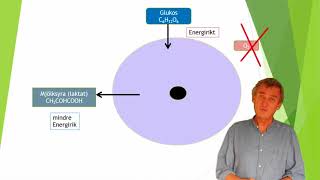 Cellens eneriomsättning del 1  ATP [upl. by Henebry]