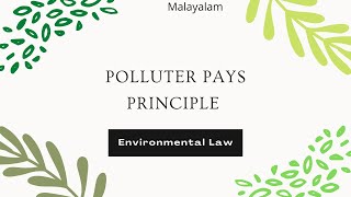 Polluter Pays Principle  under Environment Law [upl. by Onitsoga982]