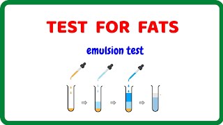 Test for Fats [upl. by Hutt87]